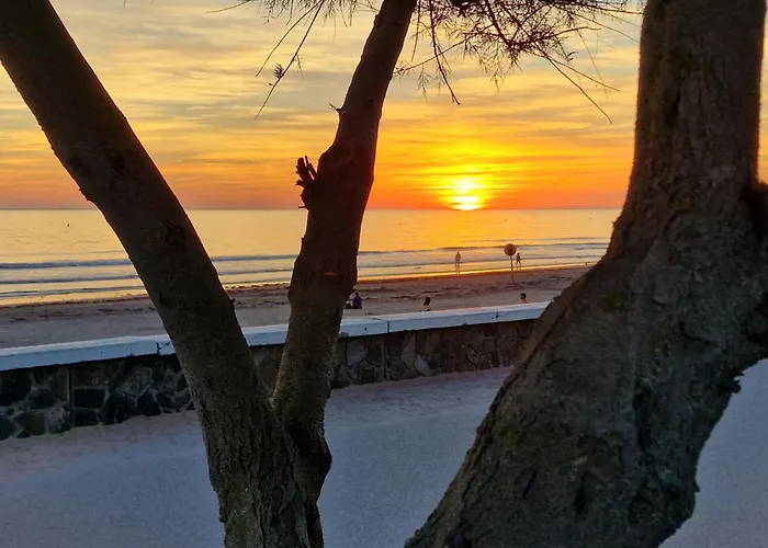 营地 Mobile Du Bois Dormant *